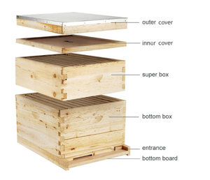 Caja de Colmena de Madera de Pino y Abeto de Doble Capa y 10 Cuadros - Product Image 6