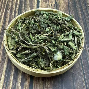 PuGongYing新鮮な原料Pu GongYing中国の天然TARAXACI乾燥モンゴルタンポポ茶 - Product Image 2