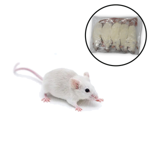 Ratón entero deshidratado con alto contenido proteico para serpientes, rapaces y mascotas exóticas, pedido al por mayor - Product Image 1