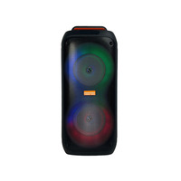 Enceinte karaoké portable double 6,5 pouces 20W avec lumières LED RGB, Bluetooth et USB pour le chant en extérieur et les fêtes