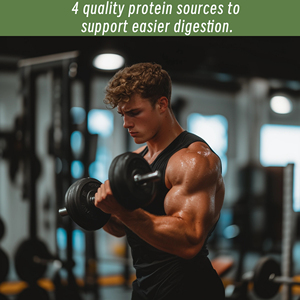 Poudre Protéinée la Plus Vendue avec des Graisses Saturées pour la Force Musculaire, la Récupération, l'Humeur et le Soutien Cognitif – Poudre Saine - Product Image 3