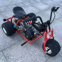 FRANFUN Garantía de Calidad, Mini Trike de Gasolina de 212cc, 45KM/H, Alta Velocidad, Karts de Derrape, Motocicleta Compacta de 3 Ruedas