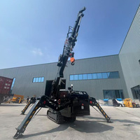 Grue araignée Tonlita 4 tonnes Mini CE EPA Euro 5 CE 1.2 1.5 2 3 4 5 8 10 12 14 16 2t 3t 4t 5t 8t 10t 12t 14t 16t
