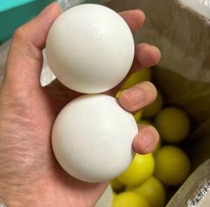 20mm 19,05mm 18,256mm 18mm 16mm 15,875mm 15mm 14,288mm massieve G1 Delrin kogel - Product Image 1