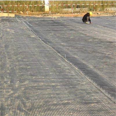 Factory Direct Sale FiberGlass Geogrid for Driveway