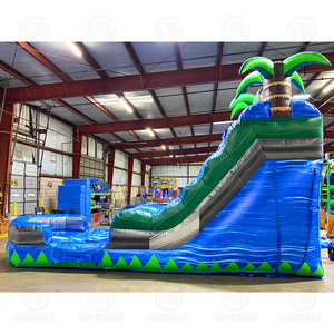 Trẻ em ngoài trời nhảy ướt bơm hơi khổng lồ trượt nước bouncy nhảy màu xanh lớn Rush waterslides Inflatable không khí nhiệt đới thổi trượt - Product Image 6