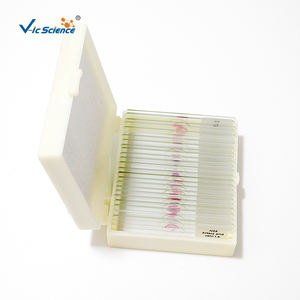 Escuela Botánica Entomología Zoología Artículos Microscópico Vidrio Espécimen Toboganes Set Preparado Educación Microscopio Uso Ciencia Médica - Product Image 5