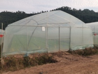 Serre agricole en plastique entièrement automatique de 2 m, technologie économique de Baolida