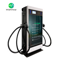 Estación de Carga Rápida para Vehículos Eléctricos de 120kW CCS GBT con Pantalla LED Grande para Estacionamientos Comerciales WrightCharge