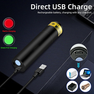 <b>USB</b> <b>Rechargeable</b> Lithium-Ion IP44 Waterproof Aluminum Alloy 365nm UV Black <b>Light</b> Flashlight Portable Mini Ultraviolet Camping - Product Image 3