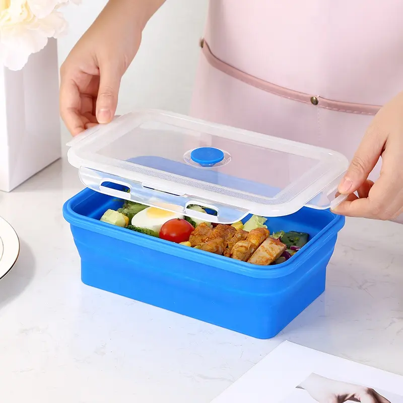 BPA Free Lunch Box Camping Food Container Fruit Viggies Snack Silicone Bento Box with 2 Dividers