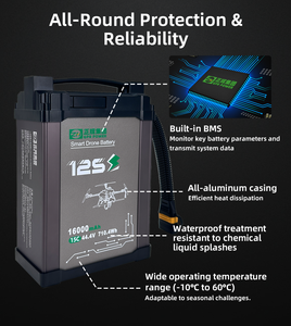 Smart <b>Battery</b> OEM GPR POWER <b>Battery</b> 16000mAh 15C 44.4V 12S1P 1000 Cycles Safety for Agriculture Spraying <b>Drone</b> <b>Battery</b> - Product Image 3