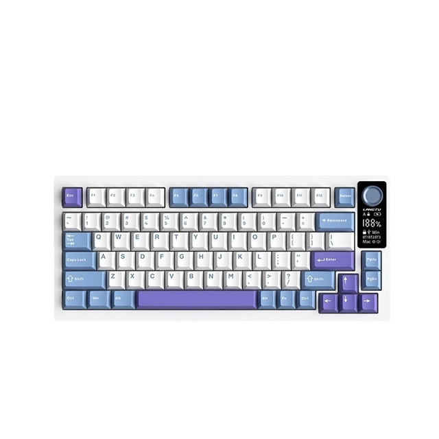 Compact Ergonomic Gasket Mount Wired 2.4Ghz Wireless Hot Swap RGB PBT Keycap Gaming Mechanical Keyboard with Konb Russian Layout
