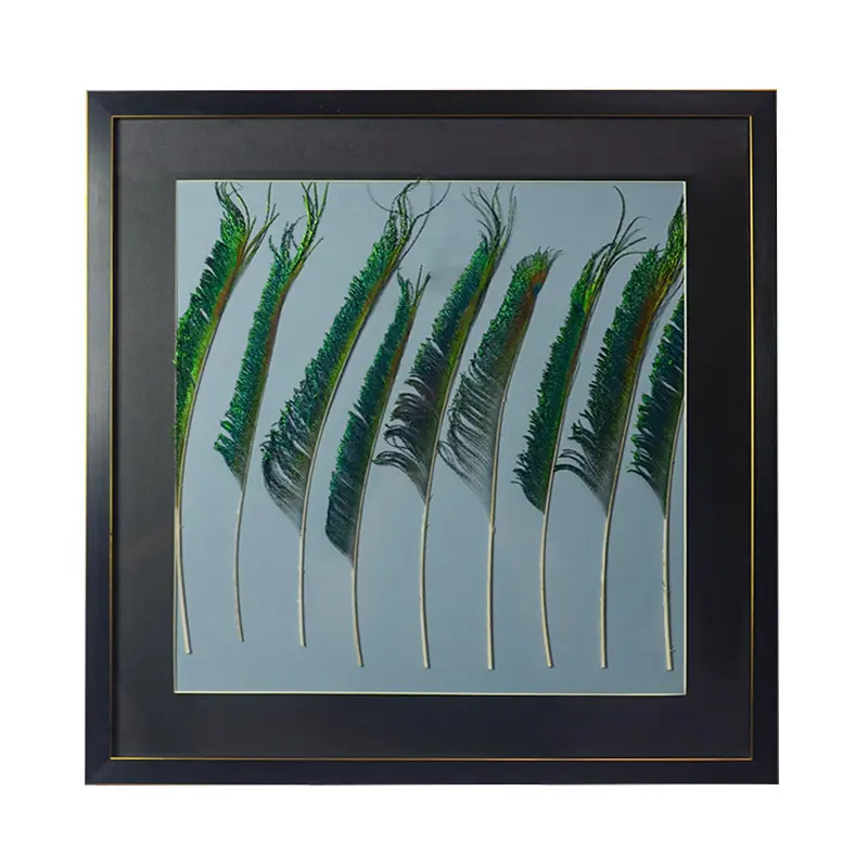 Drie Dimensionale Pauwenveer Leaf Shell Natuurlijke Hand Splicing Muur Schilderij Met Fotolijst