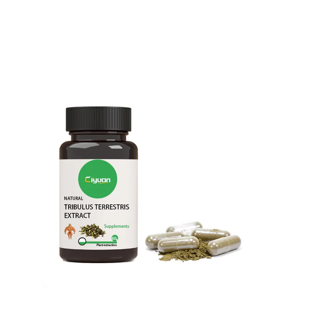 Supplements Tribulus Terrestris Extract Capsules Tribulus Alatus Tablets Tribulus Terrestris