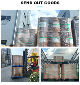 जैव-निकाला सोडियम फाइटेट उच्च शुद्धता पाउडर प्राकृतिक एंटीऑक्सिडेंट और परिरक्षक कॉस्मेटिक कच्चे माल 25 किलो - Product Image 4