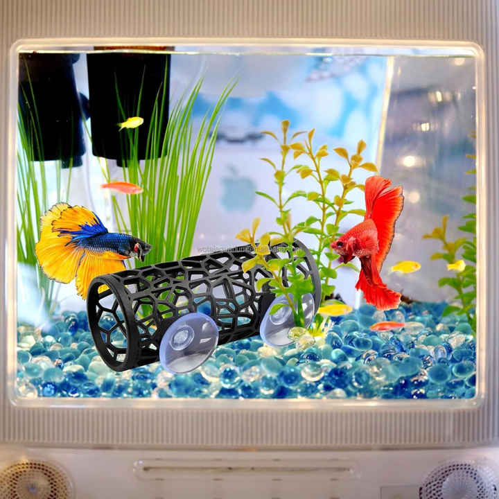 20 Gallon Koller Products API Panaview Aquarium Kit With LED