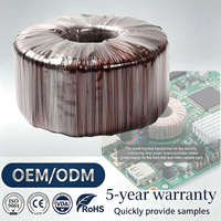 Transformador Toroidal de Anillo de Cobre de 220V 230V 12V 1000VA para Amplificadores de Audio de 50W-500W Monofásico