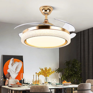 Hiện Đại Thông Minh Quạt Trần 42 Inch Vô Hình Quạt Trần Với Ánh Sáng Lampara Thông Gió De Techo - Product Image 1