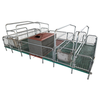 Cage de maternité pour truies, nouvelle cage de mise bas pour truies, enclos de nurserie porcine, cages d'élevage en acier galvanisé de marque Hainiu, personnalisables, 450 kg