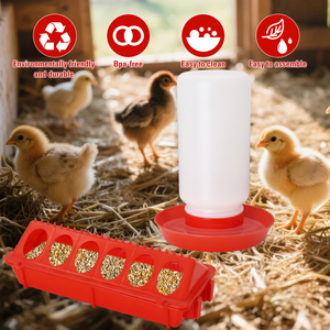 Mangiatoia e Abbeveratoio per <span class=keywords><strong>Pulcini</strong></span> con Posatoio in Legno per Piccoli Pollame, Anatre, Quaglie, Piccioni e Uccelli - Product Image 6