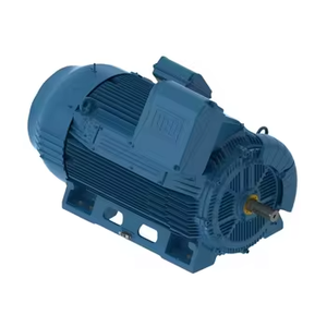 Moteurs asynchrones industriels WEG W50 à haut rendement IE3, série de commande triphasée 50Hz avec puissance accrue 380V-6600V - Product Image 5
