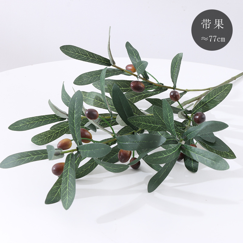 sansevieria ehrenbergii Snake Plant | Samurai Dwarf main image 0