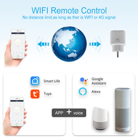 Tuya Zigbee 16A EU maison intelligente prise unique télécommande sans fil Alexa Google prise WIFI prise intelligente protocole Apple HomeKit