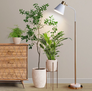 หลอดไฟปลูกต้นไม้ J&C Grow Light A60 A19 สเปกตรัมเต็มรูปแบบ ขั้ว E27 E26 สำหรับปลูกพืชในร่มและเพาะเมล็ด - Product Image 3