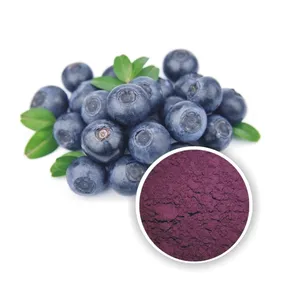 Acai Berry Powder Bulk Natural Organic Acai Berry Juice Powder Instant Tea Powder for Beverages Chinese Supplier