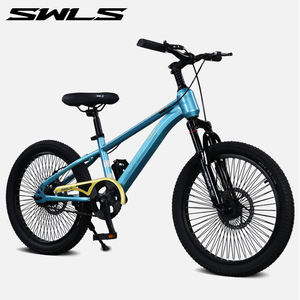 Swls 18/20/22/24 Inch Voor Kinderen En Volwassenen Single Speed Mountainbike Kinderen Mtb Fiets Met Schijf Rem Gewone Pedaal - Product Image 3