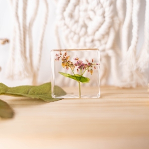 الحفاظ على الزهور الحقيقية واضحة الكريستال الحرفية الهدايا القطيفة الفرنسية ثقالة الورق للديكور - Product Image 6