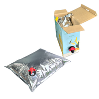Bolsa de Aluminio para Líquidos de 3L con Grifo para Vino Tinto, Empaquetada en Cartón, con Grifo de Plástico PE Vitop