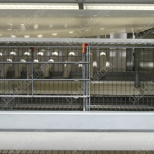 Cage à poules à plusieurs niveaux avec moins de 1 % de perte et mangeoire à alimentation sécurisée <span class=keywords><strong>pour</strong></span> les fermes avicoles commerciales - Product Image 4