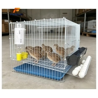 Système de cages d'élevage de volailles modulaires compactes en plastique pour la production d'œufs de cailles et de perdrix dans les fermes commerciales
