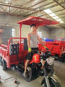 Nouveau modèle 2026 – Tricycle motorisé à 9 roues, moteur 350 CC refroidi par eau, grande puissance, pour le transport de marchandises (Tuk-Tuk) - Product Image 4