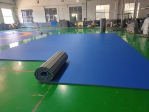 Alfombrillas DE LUCHA FightBro usadas a la venta <span class=keywords><strong>Craigslist</strong></span> - Product Image 2