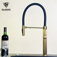 Robinet de cuisine moderne de luxe en or brossé chaud et froid en acier inoxydable avec pulvérisateur extractible et filtre