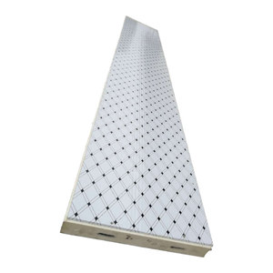 Paneles Sándwich Jingquan de 100 mm con Aislamiento de Poliuretano para Almacenamiento en Frío de Frutas, Verduras y Vacunas - Product Image 4