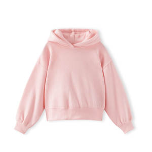 2024 automne hiver haute qualité couleur unie épaississement Plus pur coton surdimensionné <span class=keywords><strong>pull</strong></span> à capuche pour garçons bébés plaine techniques - Product Image 3