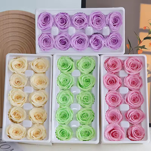 Rosas Preservadas al Por Mayor, 4-5cm, Grado B, Cabezas de Rosa Naturales Reales para Decoración de Bodas, Celebración del Día de San Valentín - Product Image 4