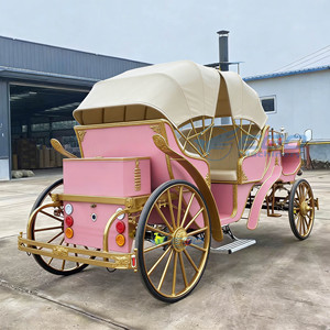 Calèche électrique populaire pour visites touristiques avec capote, calèche classique à toit ouvert et sièges souples pour excursions - Product Image 6