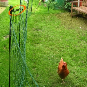 HDPE <strong>Plastic</strong> Chicken Fence Poultry <strong>Netting</strong> Soccer Sport <strong>Netting</strong> Golf Practice Trellis for Volleyball Court Baseball Field - Product Image 4