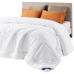Bedsure Comforter Duvet Insert Queen Size Down Alternative All Season <b>Bedding</b> With 8 Tabs - Product Image 1