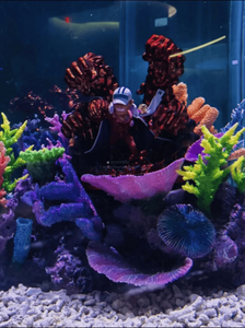Rif <span class=keywords><strong>Rock</strong></span> Aquarium Visbak Groot Aquarium Kunstmatige Koralen - Product Image 5