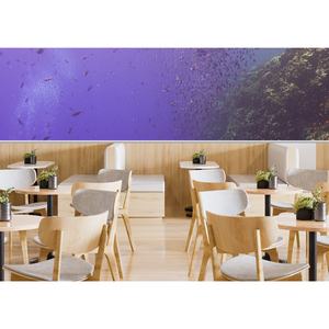 Cá Trong Thế Giới Dưới Nước 3D Rạp Hát Tại Hệ Thống Phim Tiền Movie Hệ Thống Nhà Cung Cấp Với Khác Nhau Màn Hình Dẫn Và Chiếu Nội Dung - Product Image 6