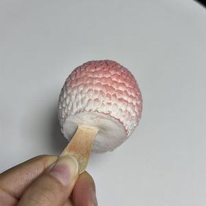 Vente en gros usine : Crème glacée au litchi, chocolat aux fruits, en forme de litchi, 75g/boîte, prête à consommer, OEM, produit phare - Product Image 6