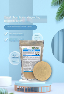 Pó de Ozônio para Equilíbrio de Água Agente Auxiliar para Tratamento Químico de Piscinas Embalado em Saco - Product Image 2