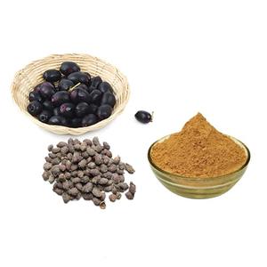 Polvo de extracto de Eugenia Jambolana de alta calidad, Material vegetal Natural para aditivos alimentarios, mezclas de nutrientes y formulaciones de hierbas - Product Image 1