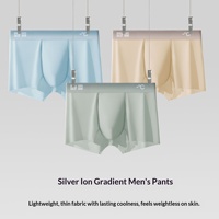 Caleçons Boxers Homme Antibactériens 7A à Ions d'Argent Dégradé, Respirants, Séchage Rapide, Haute Élasticité, Tendance, en Nylon et Coton, ODM